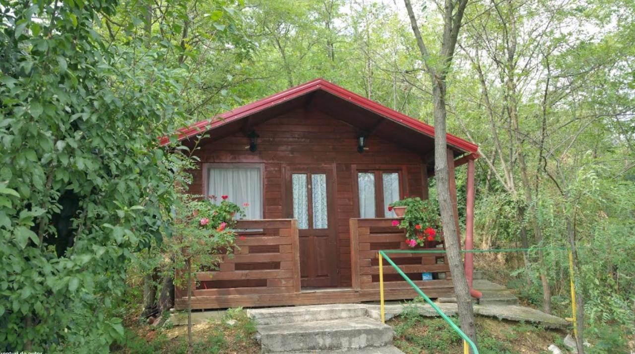 Gratca Nr 164 Orsova Villa Buitenkant foto
