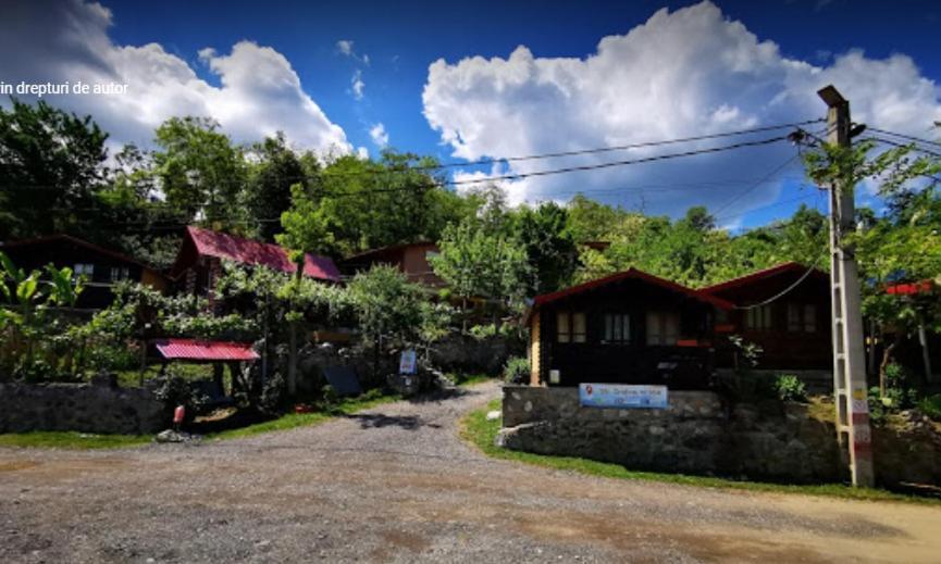 Gratca Nr 164 Orsova Villa Buitenkant foto